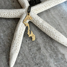 Load image into Gallery viewer, Whidbey Island Outline Necklace - Washington State Rustic Bronze with brass chain