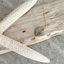 Load image into Gallery viewer, Carved seashell necklace 14k gold filled chain - abalone