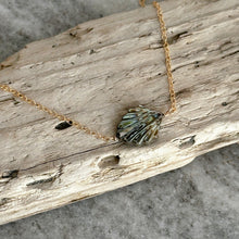 Load image into Gallery viewer, Carved seashell necklace 14k gold filled chain - abalone
