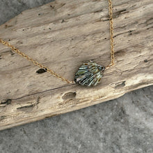 Load image into Gallery viewer, Carved seashell necklace 14k gold filled chain - abalone