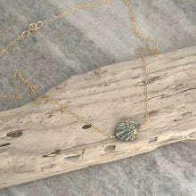 Load image into Gallery viewer, Carved seashell necklace 14k gold filled chain - abalone