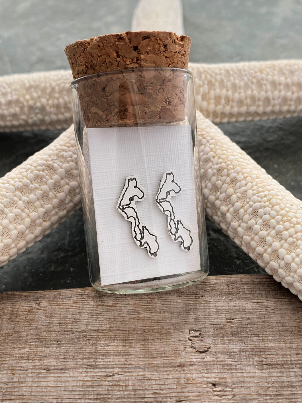 Sterling silver Whidbey Island earrings - PNW earrings - Tiny earrings - home state love - earrings in a bottle - Post stud earrings Washington