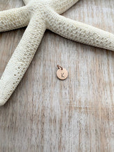 Load image into Gallery viewer, Add a tiny 14k Rose Gold Filled Initial Charm to Any Charm Necklace in My Shop
