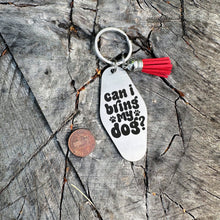 Load image into Gallery viewer, can I bring my dog - funny stainless steel motel fob keychain - faux leather tassel - gift for friend
